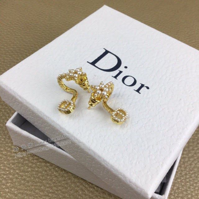 Dior飾品 迪奧經典熱銷款耳環耳釘  zgd1285